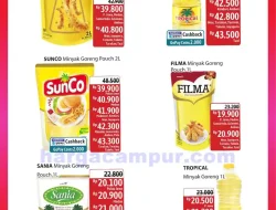 Katalog Promo JSM Alfamidi Terbaru 17 – 19 Oktober 2025
