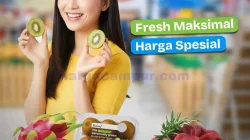 Promo Hypermart Produk Segar Periode 4 6 November 2025 1
