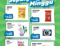 Katalog Promo JSM FamilyMart Terbaru 10 – 16 November 2025