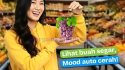 Promo Hypermart Produk Segar Periode 18 – 20 November 2025