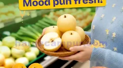 Promo Hypermart Produk Segar Periode 17 - 19 Februari 2026 2 Promo Hypermart Produk Segar Periode 17 19 Februari 2026 1