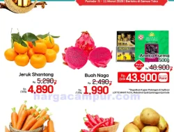 Promo Lotte Grosir Weekend Terbaru 5 – 8 Maret 2026
