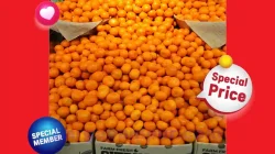 Katalog Promo JSM Lottemart Weekend 26 - 29 Maret 2026 22 Katalog Promo JSM Lottemart Terbaru 23 29 Maret 2026 10