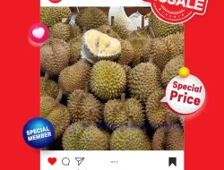 Katalog Promo JSM Lottemart Weekend 14 – 17 Mei 2026