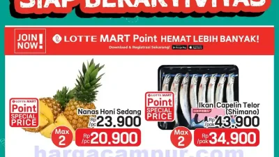 Katalog Promo Lotte Grosir Terbaru 14 – 27 Juli 2026