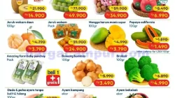 Promo Hypermart Weekday Terbaru 16 - 18 Juni 2026 33 Promo Hypermart Weekday Terbaru 16 - 18 Juni 2026