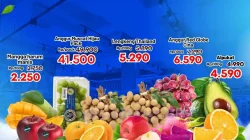 Katalog Promo Samudra Supermarket Super Murah 20 - 26 Juli 2026 25 Katalog Promo Samudra Supermarket Super Murah 20 26 Juli 2026 13