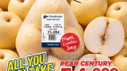 Promo GrandLucky Weekend Super Deals 7 9 Agustus 2026 14