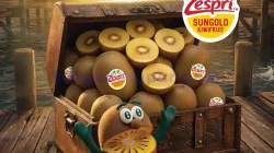 Katalog Farmers Market Promo Terbaru 28 Ags - 10 Sep 2026 17 Katalog Farmers Market Promo Terbaru 28 Agustus 10 September 2026 1