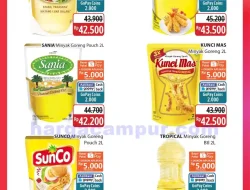 Katalog Promo JSM Alfamidi Terbaru 14 – 16 Agustus 2026