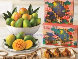 Katalog Farmers Market Promo Terbaru 25 Sep – 8 Okt 2026