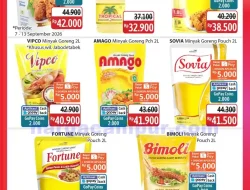 Katalog Promo JSM Alfamidi Terbaru 14 – 20 September 2026
