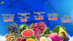 Katalog Promo Samudra Supermarket Super Murah 21 - 27 September 2026 4 Katalog Promo Samudra Supermarket Super Murah 21 27 September 2026 13