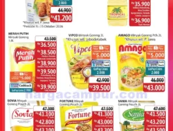 Katalog Promo JSM Alfamidi Terbaru 9 – 11 Oktober 2026